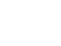 Photon-path-partner-tef